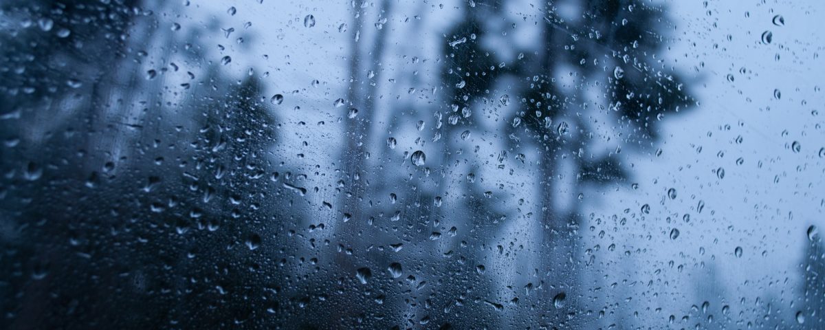 Closeup shot of a wet glass reflecting the rainy forest scenery